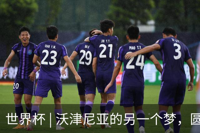 世界杯 | 沃津尼亚的另一个梦，圆了
