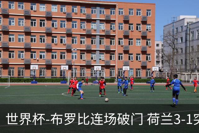 世界杯-布罗比连场破门 荷兰3-1突尼斯获小组头名将战摩洛哥