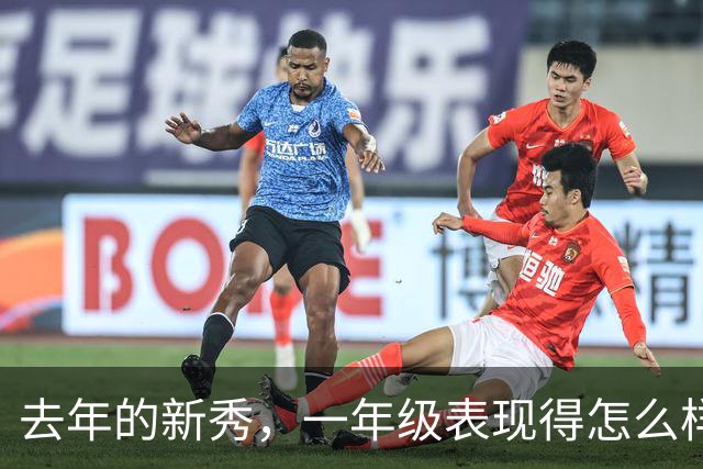 去年的新秀，一年级表现得怎么样呢【上】